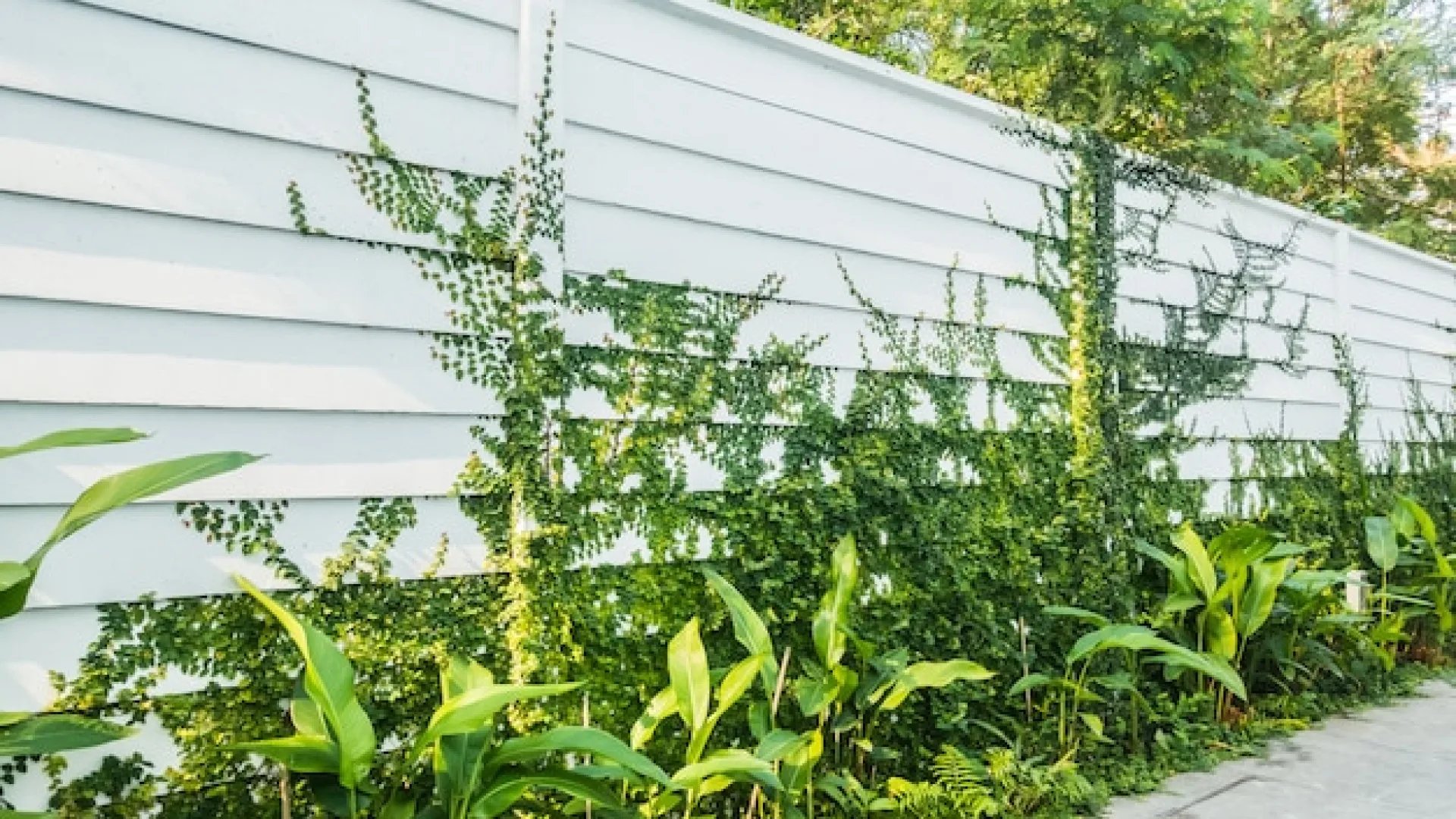 Comment choisir un brise-vue adapté à son jardin ou sa terrasse ?